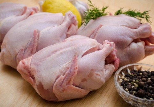 خرید گوشت مرغ تازه + قیمت فروش استثنایی